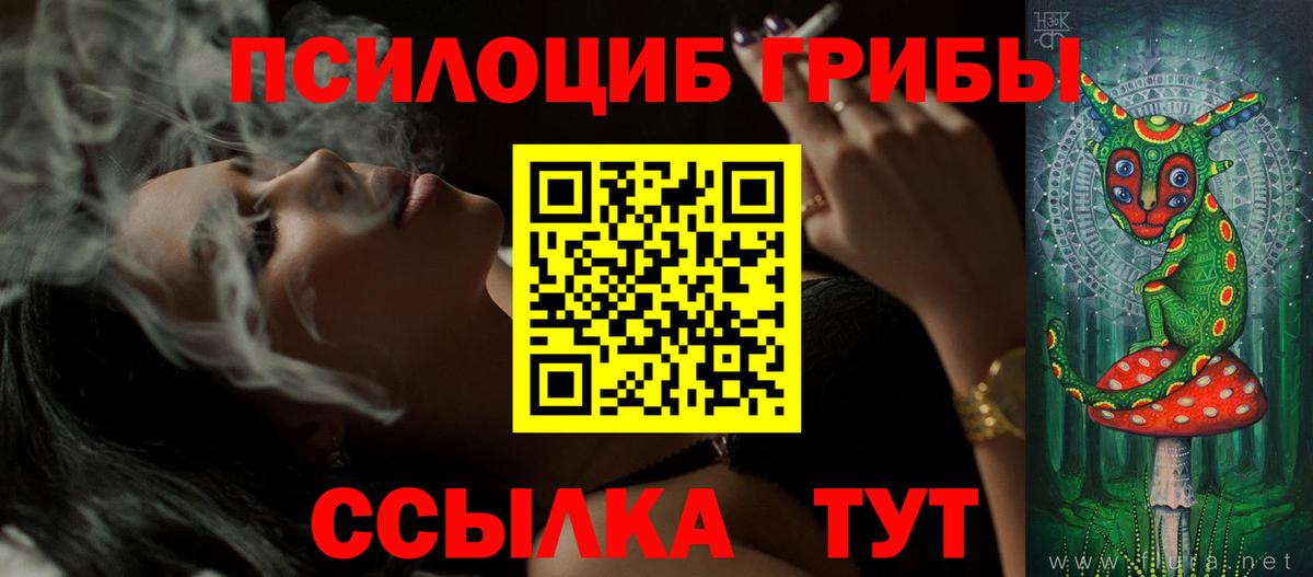 Галлюциногенные грибы ЛСД  Вход с VPN  Каменка 